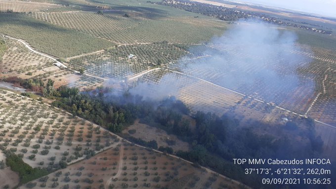 Bomberos luchan contra el fuego en Hinojos