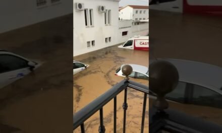 Diputación pone a disposición sus medios materiales y humanos para restablecer la situación tras la lluvia torrencial