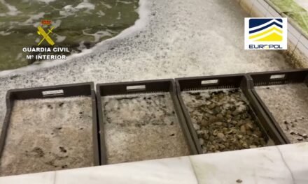 Intervienen 16 toneladas de moluscos ilegales y desarticulan una red con presencia en Huelva