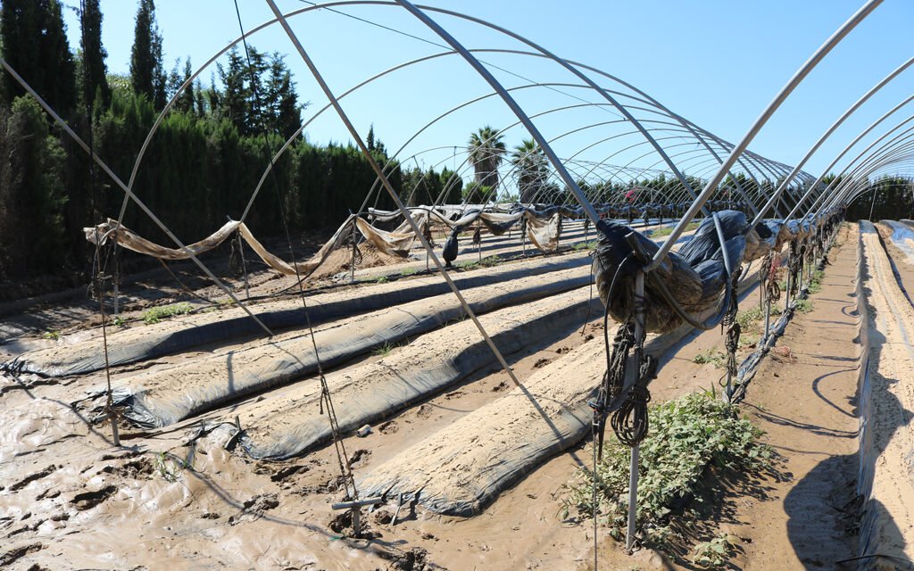 Cartaya atiende a los agricultores afectados por el temporal en la Casa de la Cultura