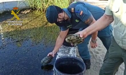 Investigan a una mujer tras capturar galápagos protegidos del Espacio Natural de Doñana