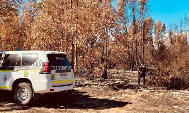 Investigan a un hombre por el incendio de Gibraleón que afectó a 64 hectáreas