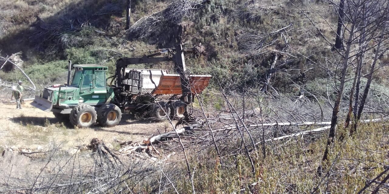 La Junta refuerza los trabajos de limpieza para evitar inundaciones en Nerva