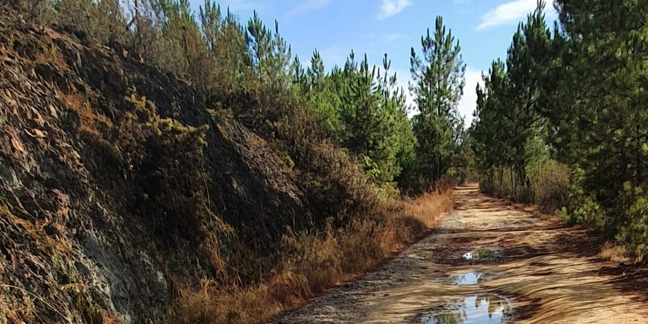 Convocan un paseo reivindicativo para exigir la mejora de la vía verde entre Zalamea y El Campillo