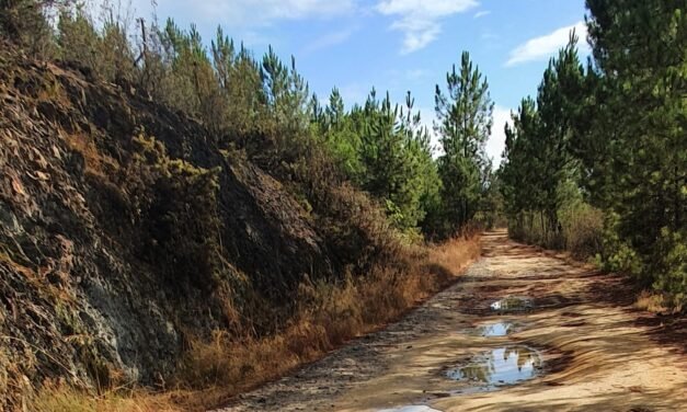 Denuncian el mal estado de la vía verde entre Zalamea y El Campillo