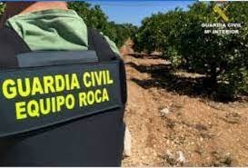 La Guardia Civil informa sobre los robos en el campo en El Campillo