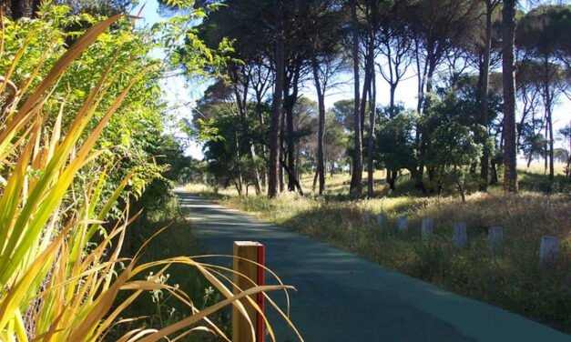 Diputación adjudica las obras de la vía verde ‘Los Molinos de Agua’ que discurre entre El Buitrón y San Juan