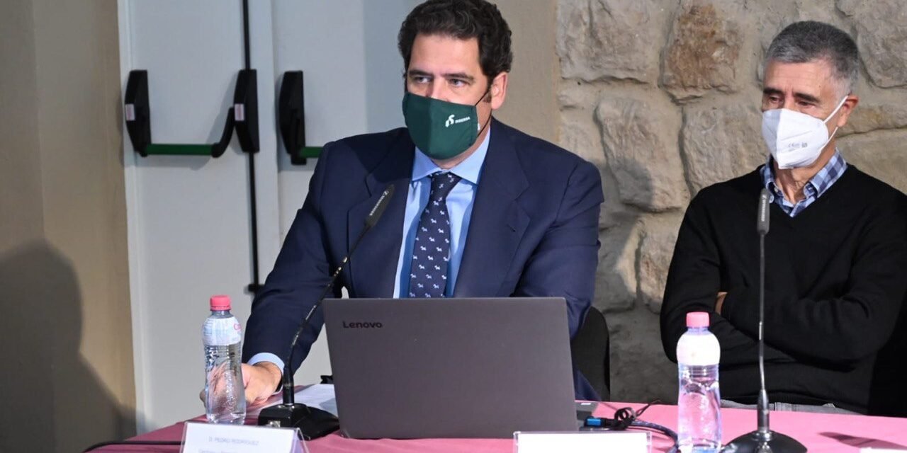 Insersa realiza un nuevo trabajo de sondeos y perforaciones en el Distrito Minero de Linares