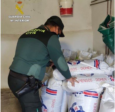 Dos investigados por robar más de una tonelada de pienso en Hinojales