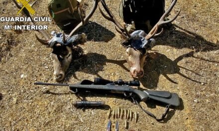 Condenados dos furtivos por abatir seis ciervos y dos gamos en el Parque Natural Sierra de Aracena
