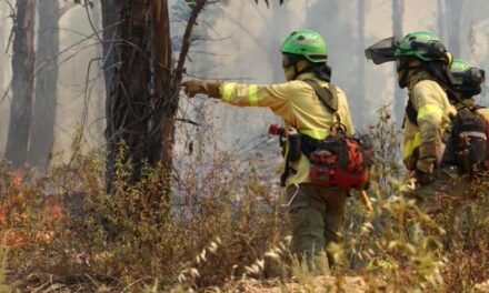 Declarado un incendio forestal en Campofrío
