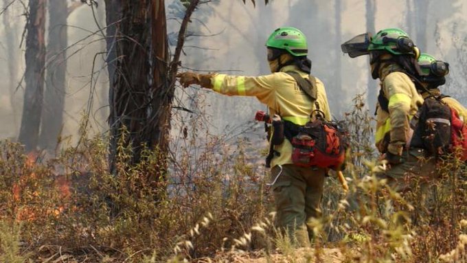 Declarado un incendio forestal en Campofrío