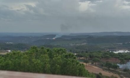 El Infoca lucha contra un incendio forestal en Riotinto