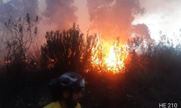 El incendio de Riotinto calcina 0,65 hectáreas de matorral