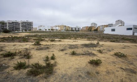 La urbanización de San Antonio ve la luz tras 20 años de “baldío a la entrada de Huelva”