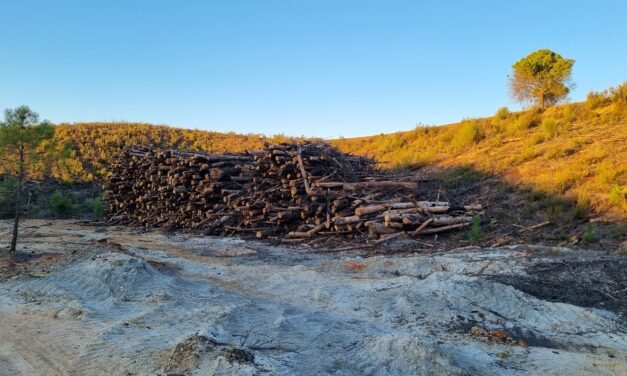 Atalaya Mining restaura el entorno de Peña de Hierro calcinado en el incendio de 2018