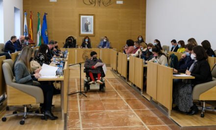 La Diputación da su respaldo unánime a la primera reforma social de la Constitución Española
