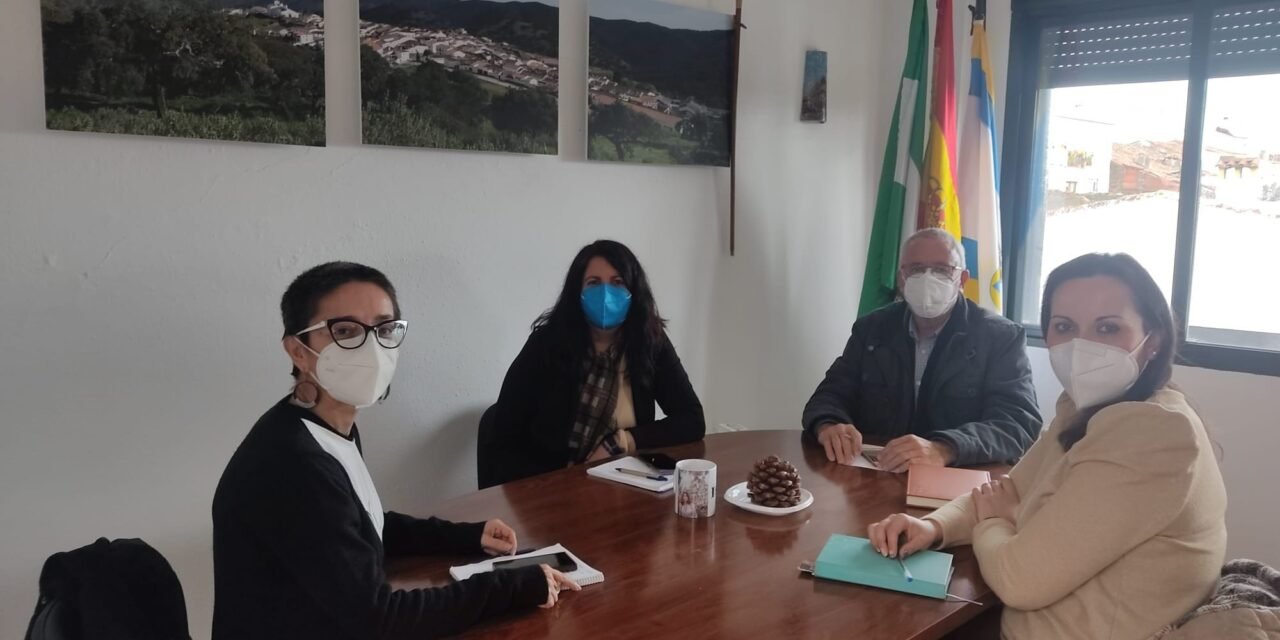 Cañaveral, Cumbres Mayores e Hinojales reclaman poner fin a los microcortes de luz que sufren sus municipios