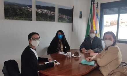 Cañaveral, Cumbres Mayores e Hinojales reclaman poner fin a los microcortes de luz que sufren sus municipios