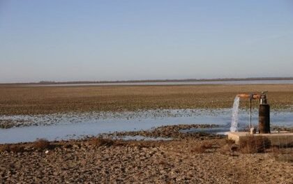 Cisma en los regantes del Condado por la propuesta de la Junta de añadir hectáreas de regadío a Doñana