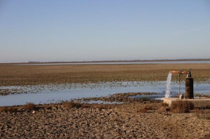 Cisma en los regantes del Condado por la propuesta de la Junta de añadir hectáreas de regadío a Doñana