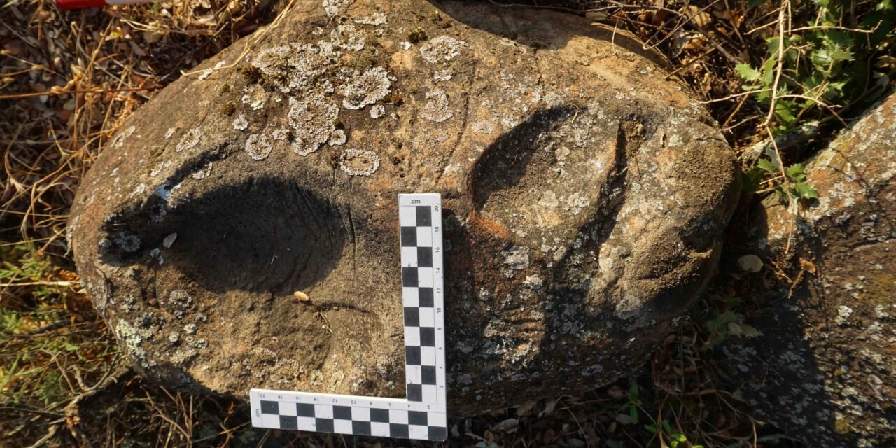 Los nuevos petroglifos hallados en Zalamea darán paso a un estudio profundo sobre los grabados
