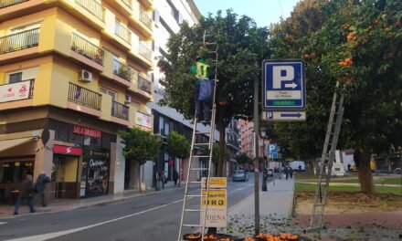 El Ayuntamiento recogerá 100.000 kilos de naranjas de los árboles de Huelva