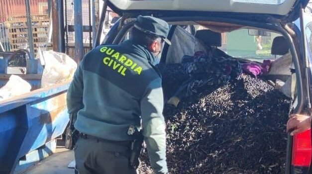 Detenidos con mil kilos de aceitunas robados en Cala