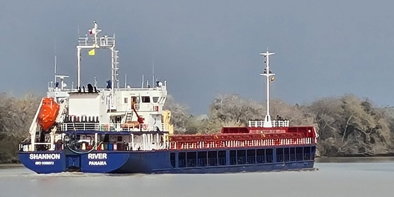 Otras 6.000 toneladas de arena tóxica llegan a España con destino al vertedero de Nerva