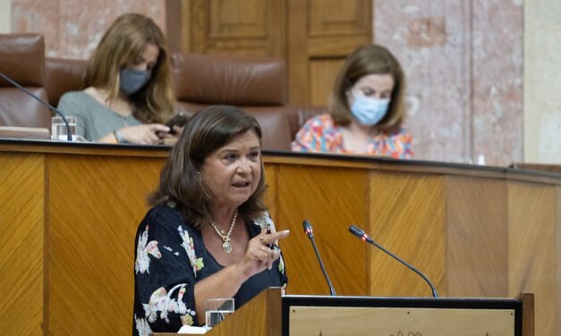 El PP asegura que la Junta «trabaja al máximo» para agilizar el «cierre ordenado» del vertedero de Nerva