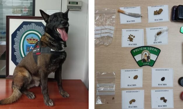 El agente canino ‘Cesar’ realiza ocho intervenciones de droga en Lepe en un solo día