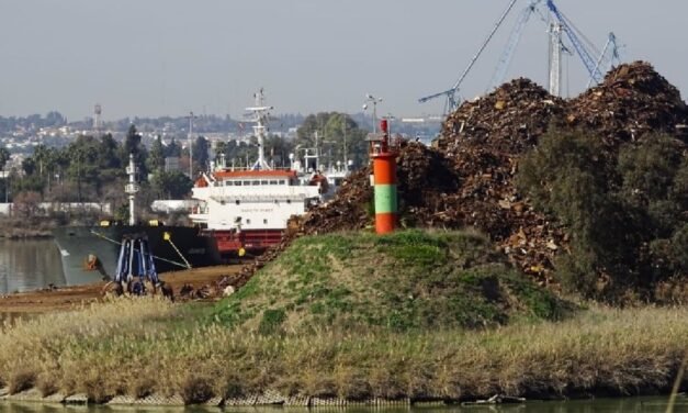 Ecologistas denuncia ante la Guardia Civil la descarga de los residuos tóxicos para Nerva en el Puerto