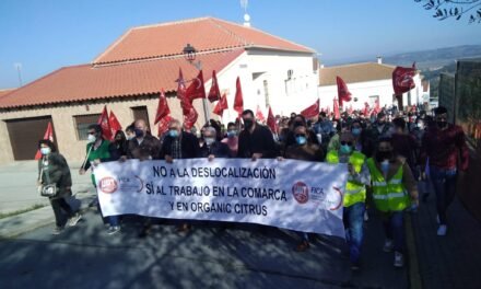 Unas 600 personas protestan contra el riesgo en los empleos de Organic Citrus