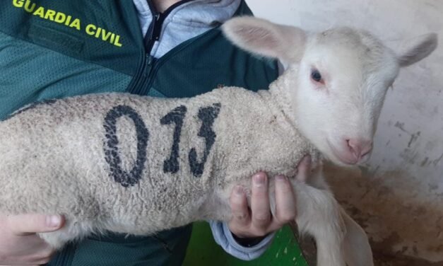 Detenidos por robar corderos durante meses en una finca de Manzanilla