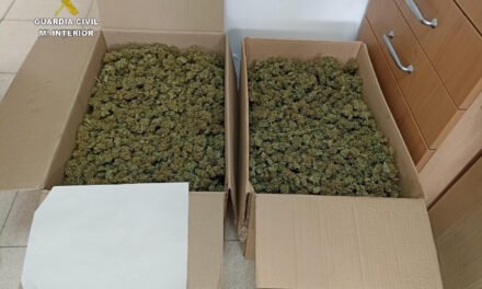 Intervienen once cajas con cogollos de marihuana en Valdelamusa