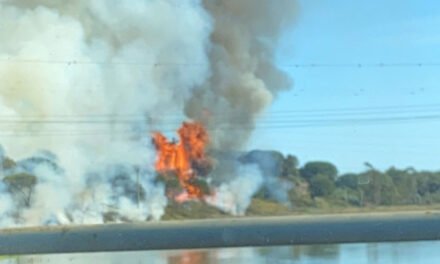 Desalojan la Politécnica de La Rábida por un incendio en el entorno de la escuela