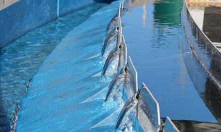 Giahsa celebra el Día Mundial del Agua apelando al consumo moderado y responsable