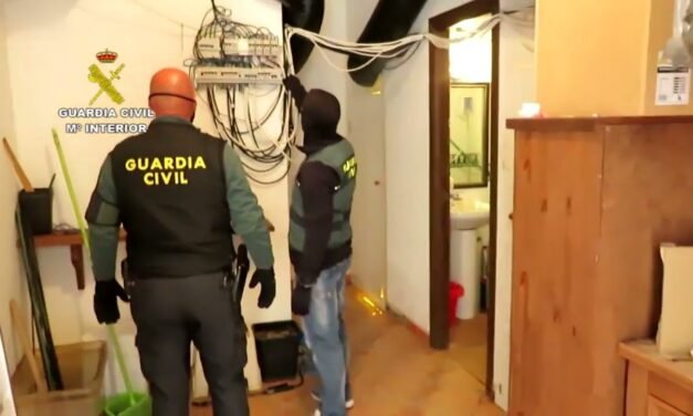 Dos detenidos por cultivar más de 230 plantas de marihuana en El Rocío