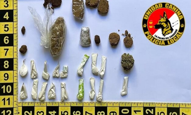 Una intervención en botellones de La Palma culmina con la aprehensión de droga y 15 denuncias