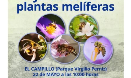 Un taller animará a los vecinos de El Campillo a sembrar jardines polinizadores