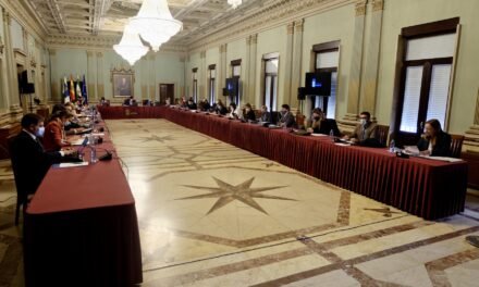 El pleno de Huelva exigirá subvencionar filtros de protección especial contra la covid para laringectomizados y traqueostomizados