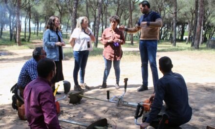 Cartaya prepara la pradera de San Isidro y los accesos para la romería