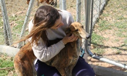 Diputación lanza una campaña para promover las adopciones en el Centro de Animales