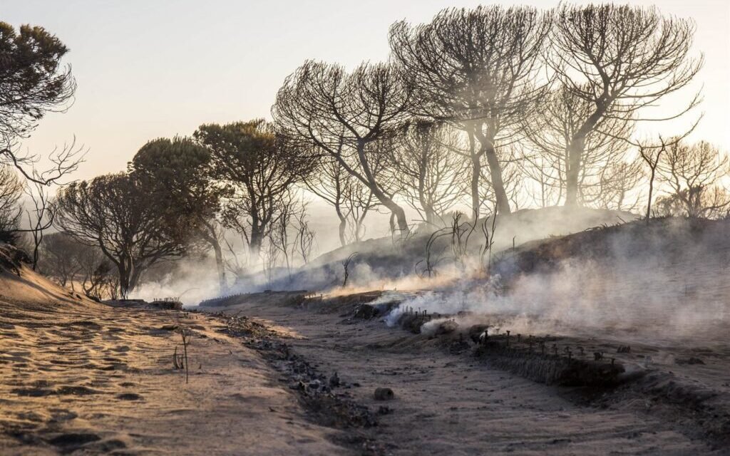 El juez investiga a tres personas por el incendio «grave» de Doñana en 2017