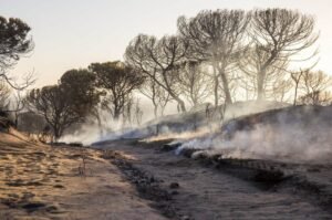 Incendio Cuesta Maneli