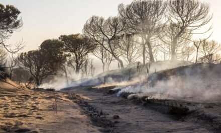 Continúa en fase de instrucción el caso de incendio de Doñana que arrasó más de 10.000 hectáreas