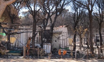 Afectados por el incendio de Doñana piden ayudas a las administraciones “tras cinco años de espera”