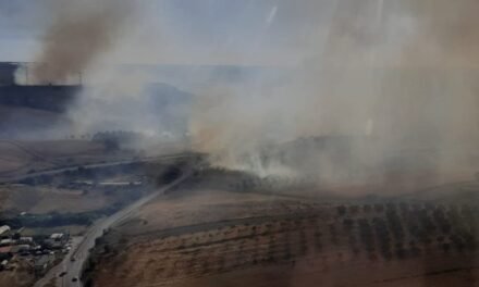 Un incendio agrícola en Lucena obliga a desplegar cuatro avionetas y dos helicópteros contra el fuego