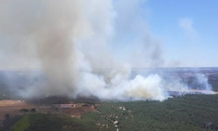 El Infoca lucha contra el fuego en Niebla