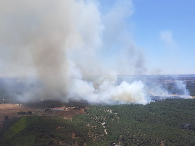 El Infoca lucha contra el fuego en Niebla